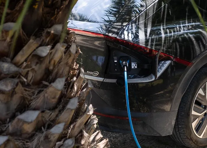 Cri Cri Di Charme - Bike 4*